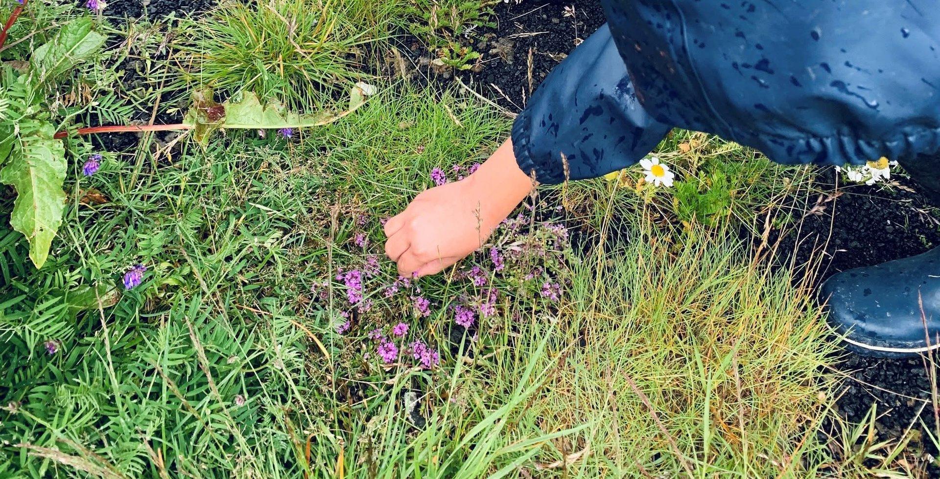 Jurtir, klaustur og börn - Fræðsluganga
