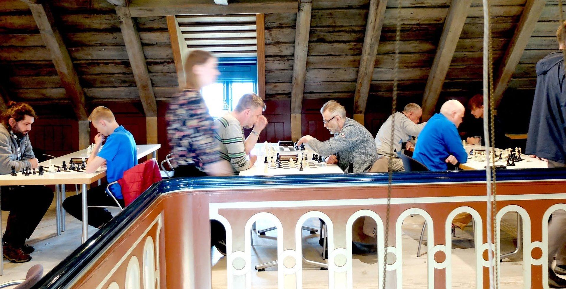Viðeyjarmótið í skák